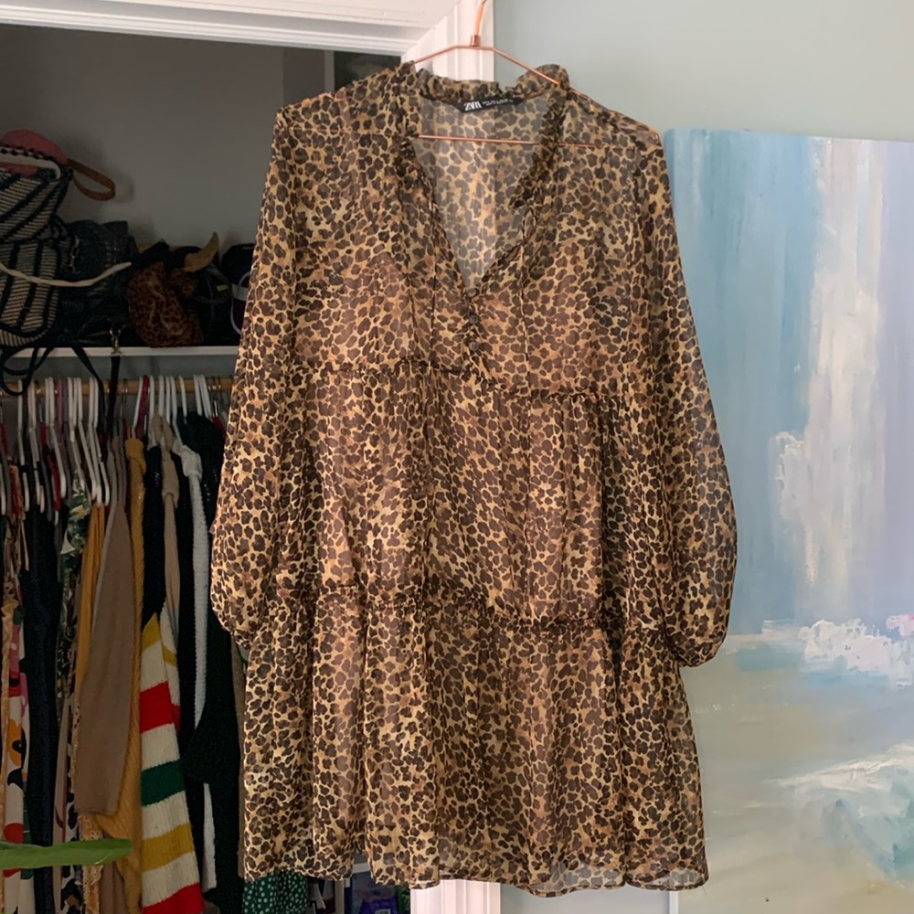 Zara Dress